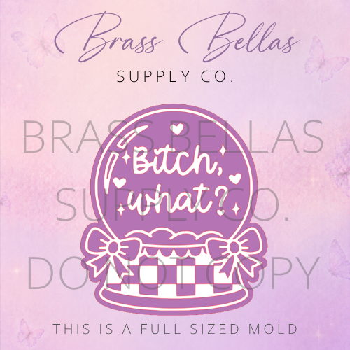 Checkered Snowglobe - Bitch What - Freshie Mold