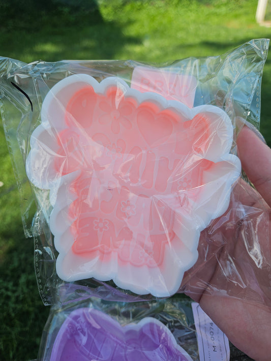 DESTASH & B-GRADE FRESHIE MOLDS - Good Things Take Time